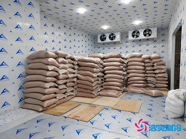 2萬起建種子冷庫？這些因素讓造價翻倍！